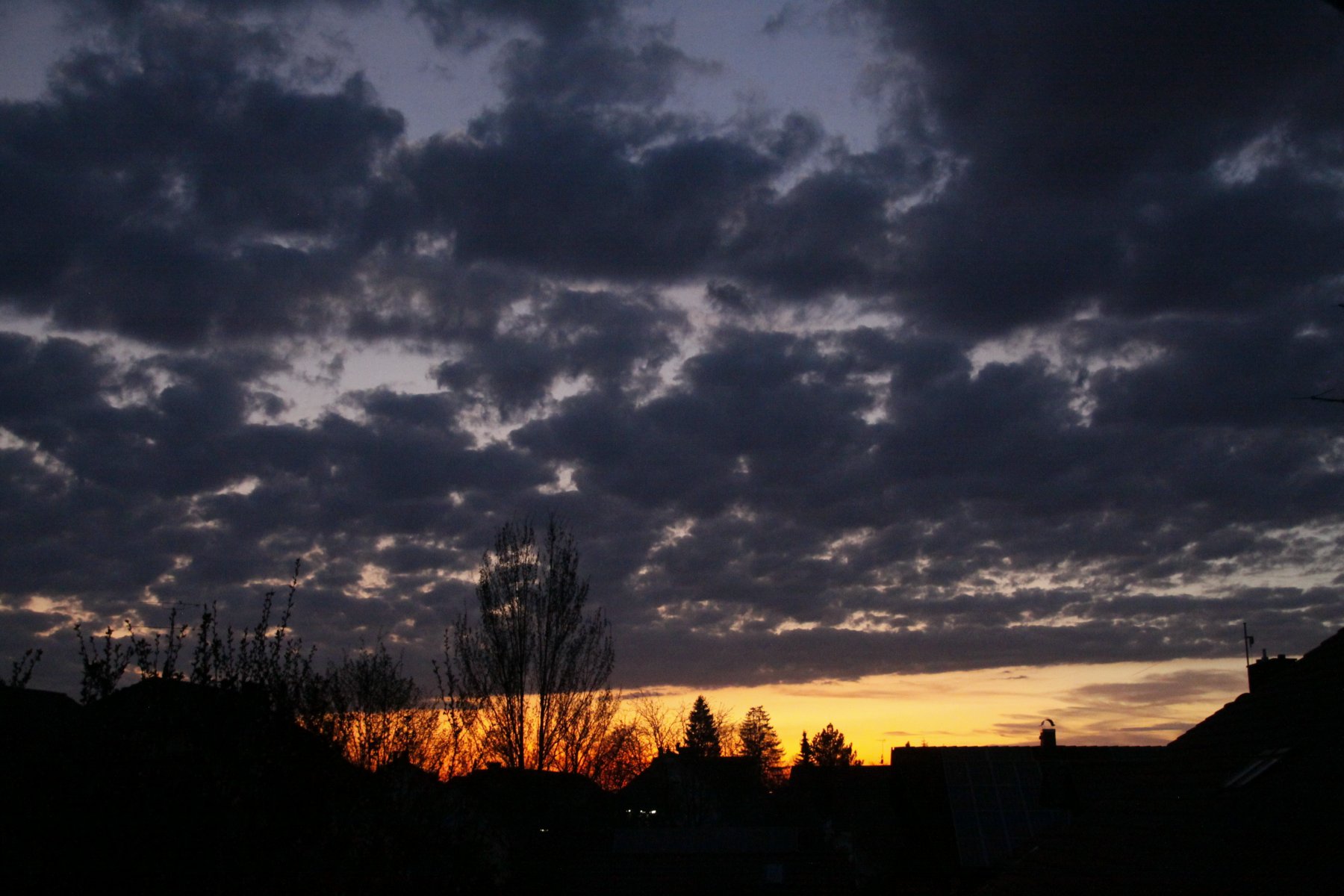 _MG_9009.JPG