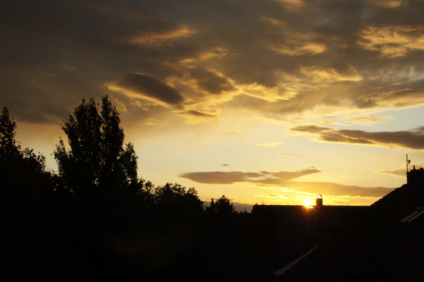 _MG_9539.JPG
