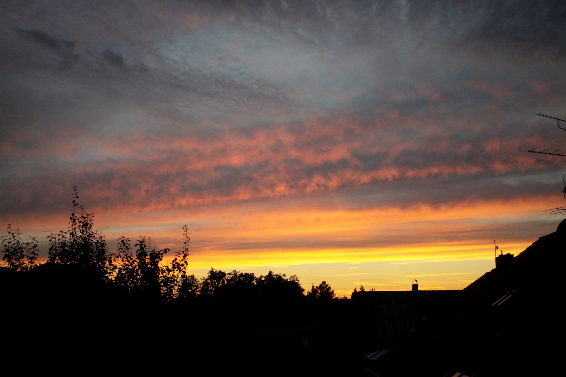_MG_9787.JPG