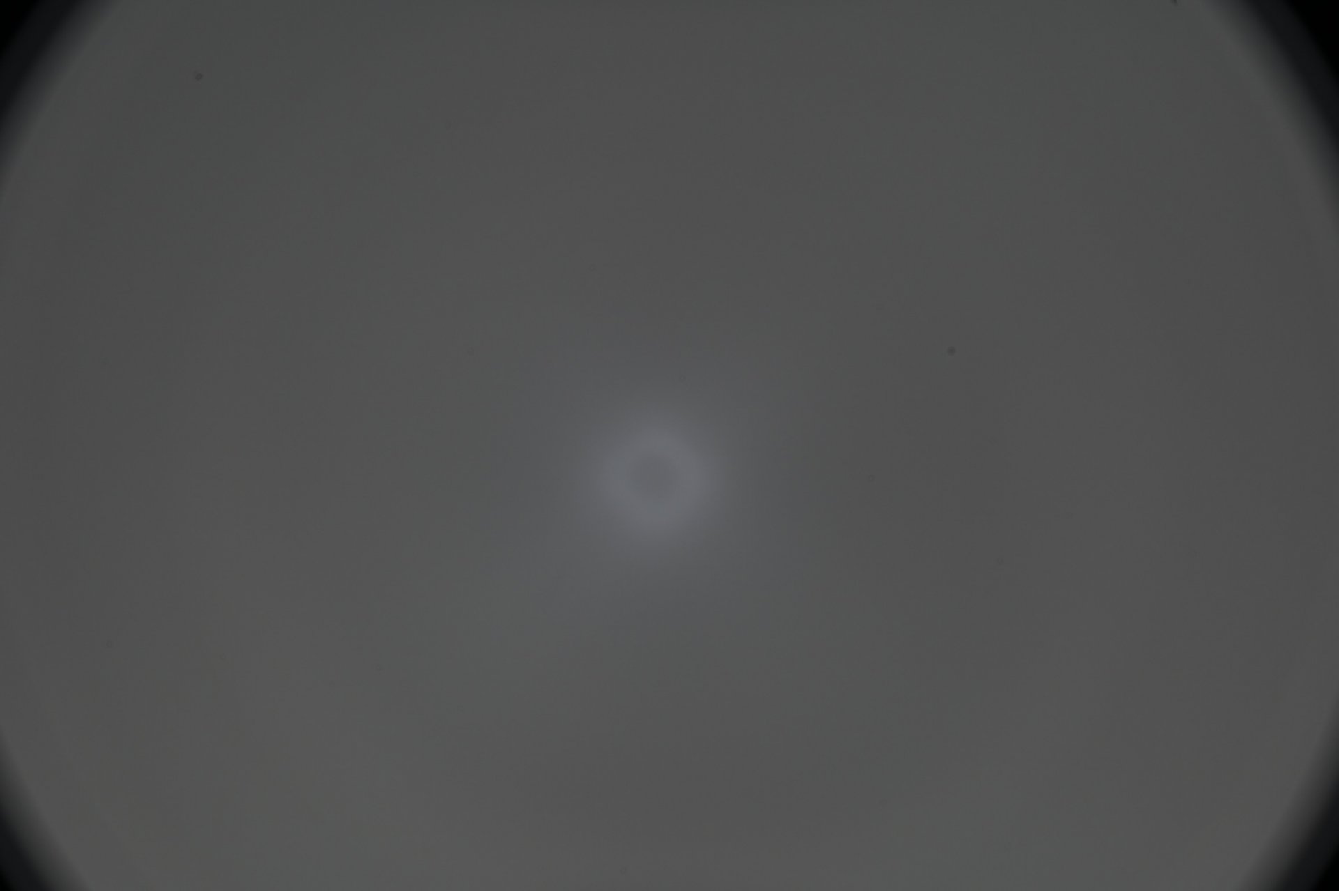 A5C31CD9-17BE-419A-B867-325E5A7ADA8C.jpeg