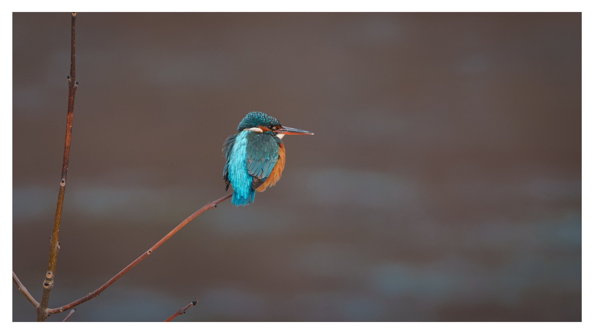 A7R08260.jpg