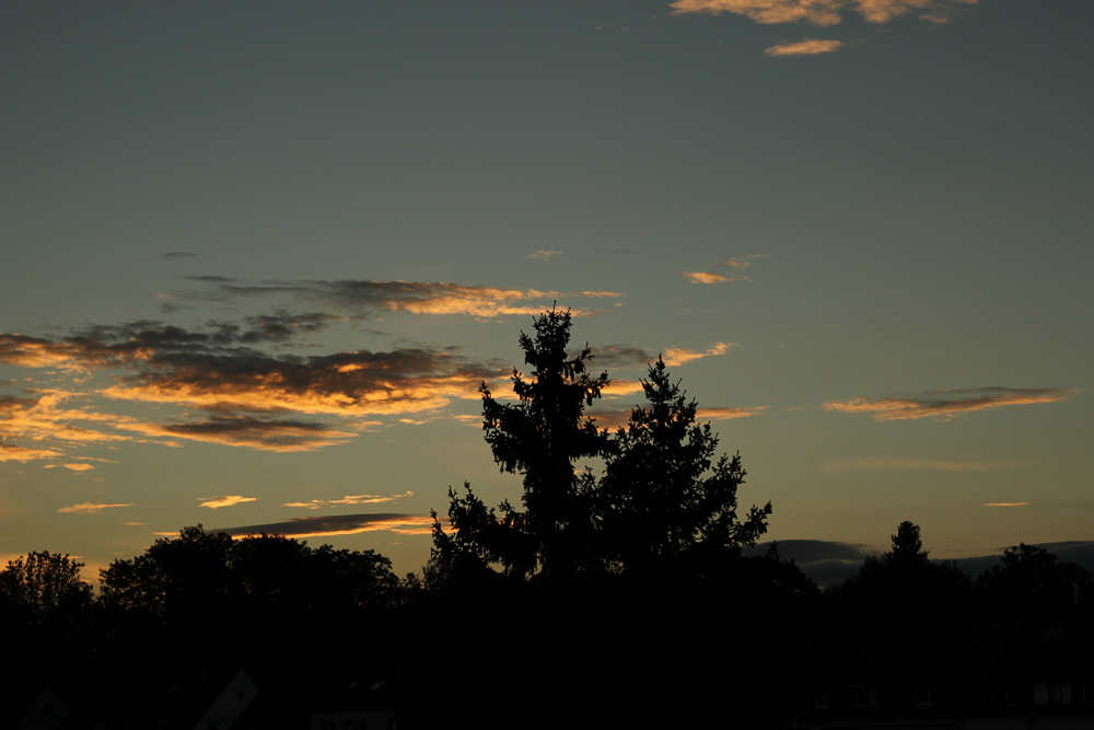 abend_230919a.jpg