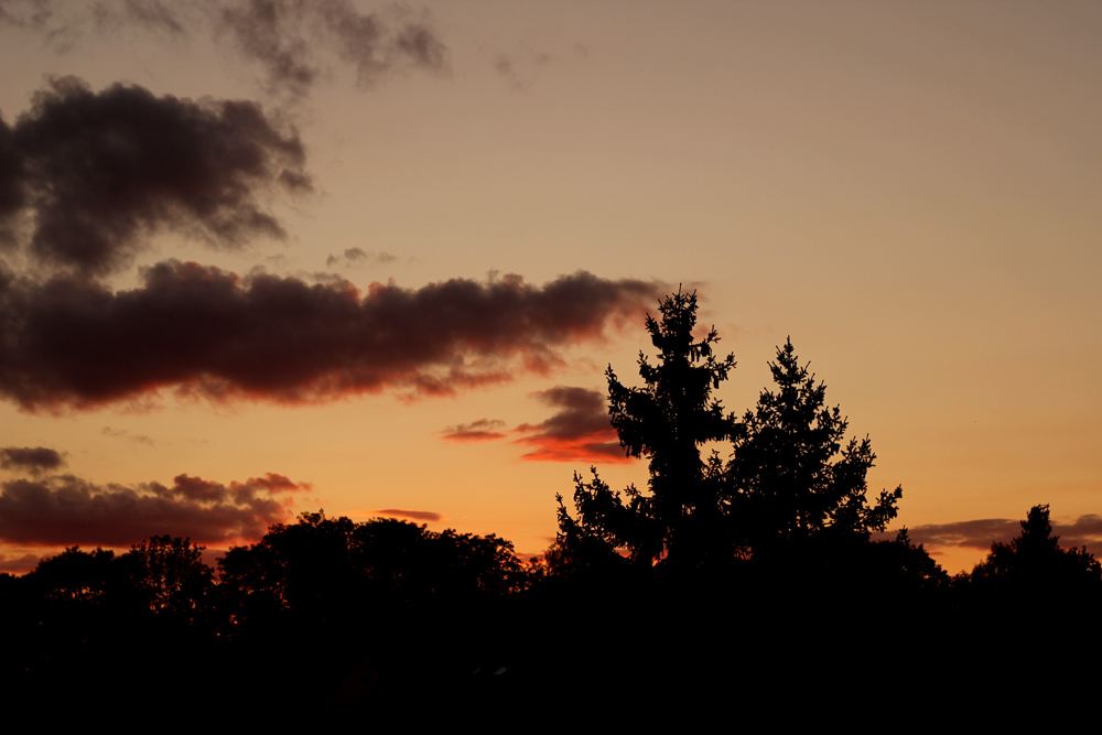 abend_230923.jpg