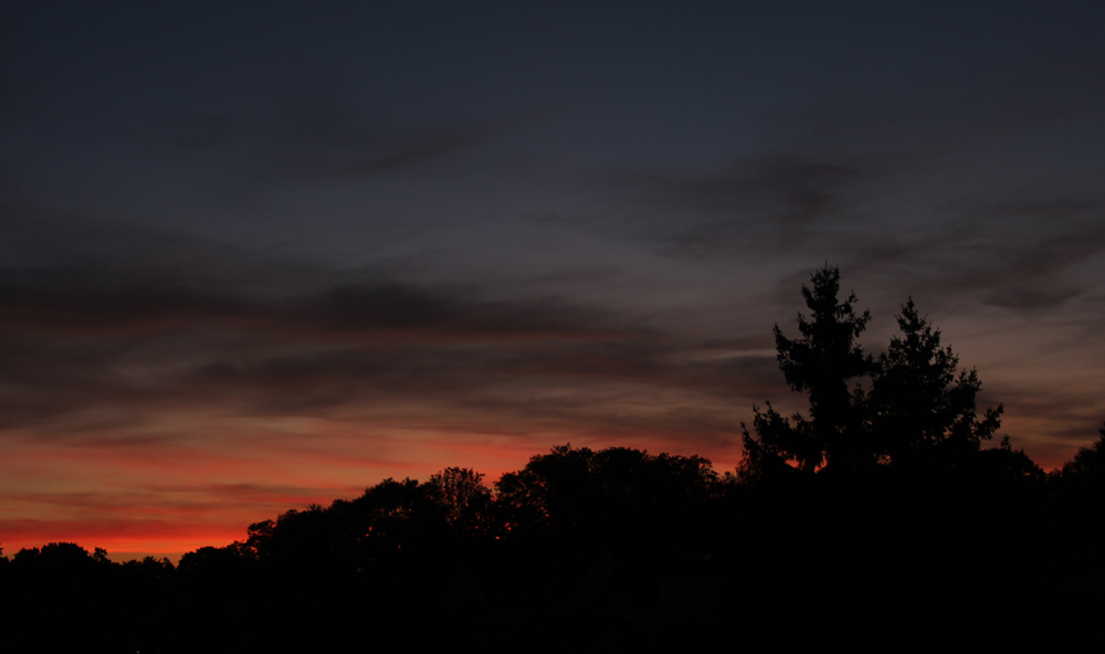 abend_231006.jpg