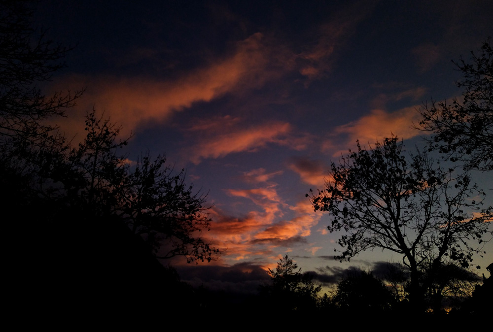 abend_231107.jpg