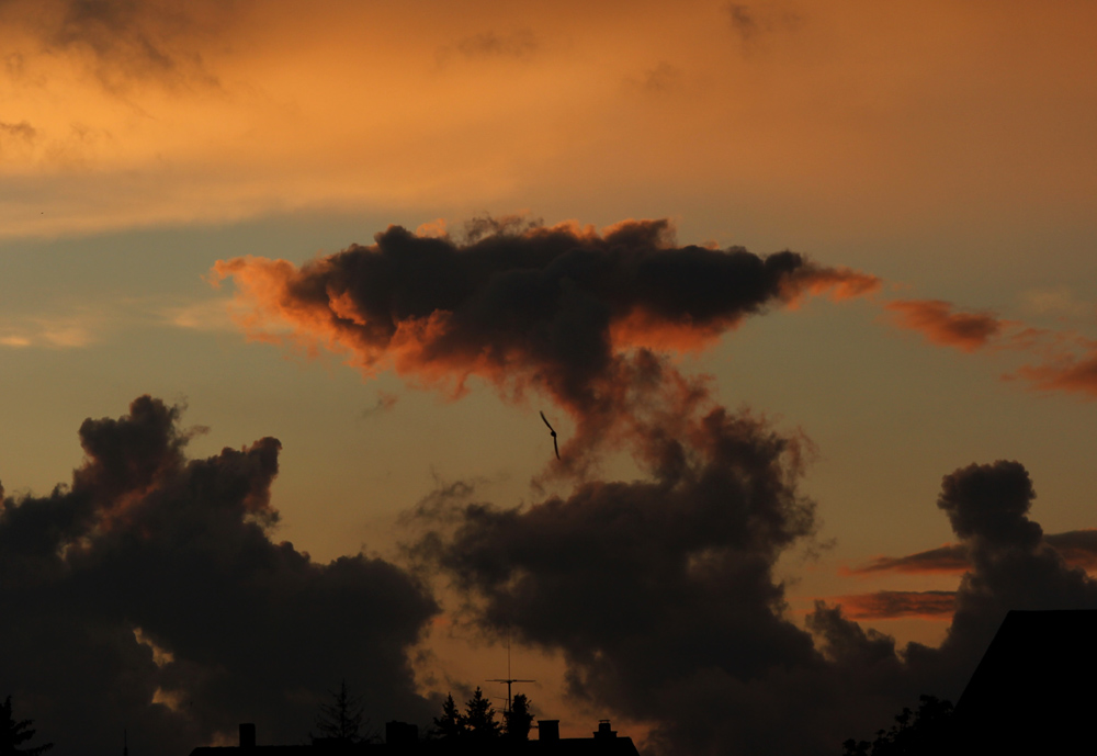 abend_240524.jpg