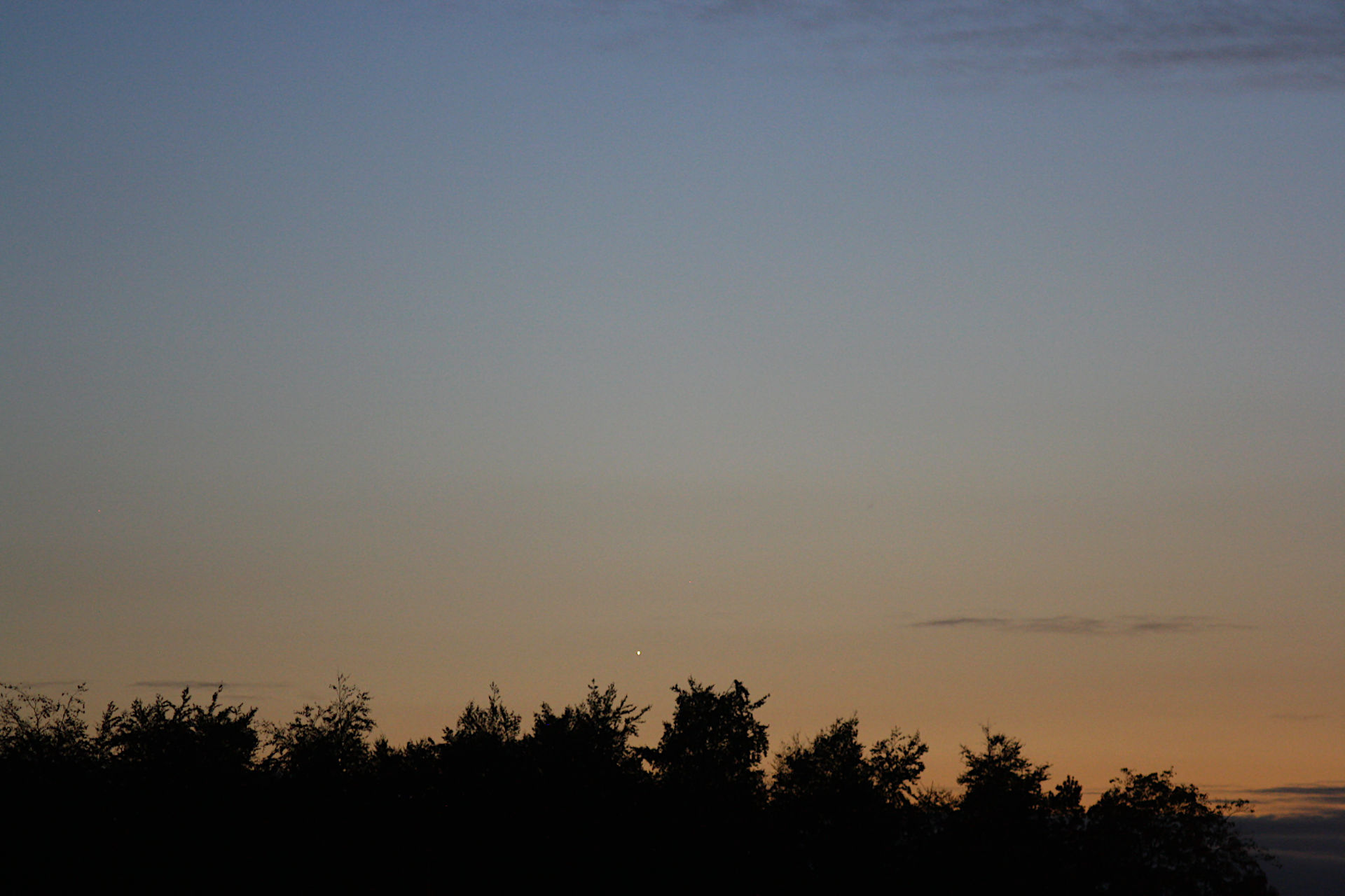 abendhimmel-141024nr2venusc.JPG