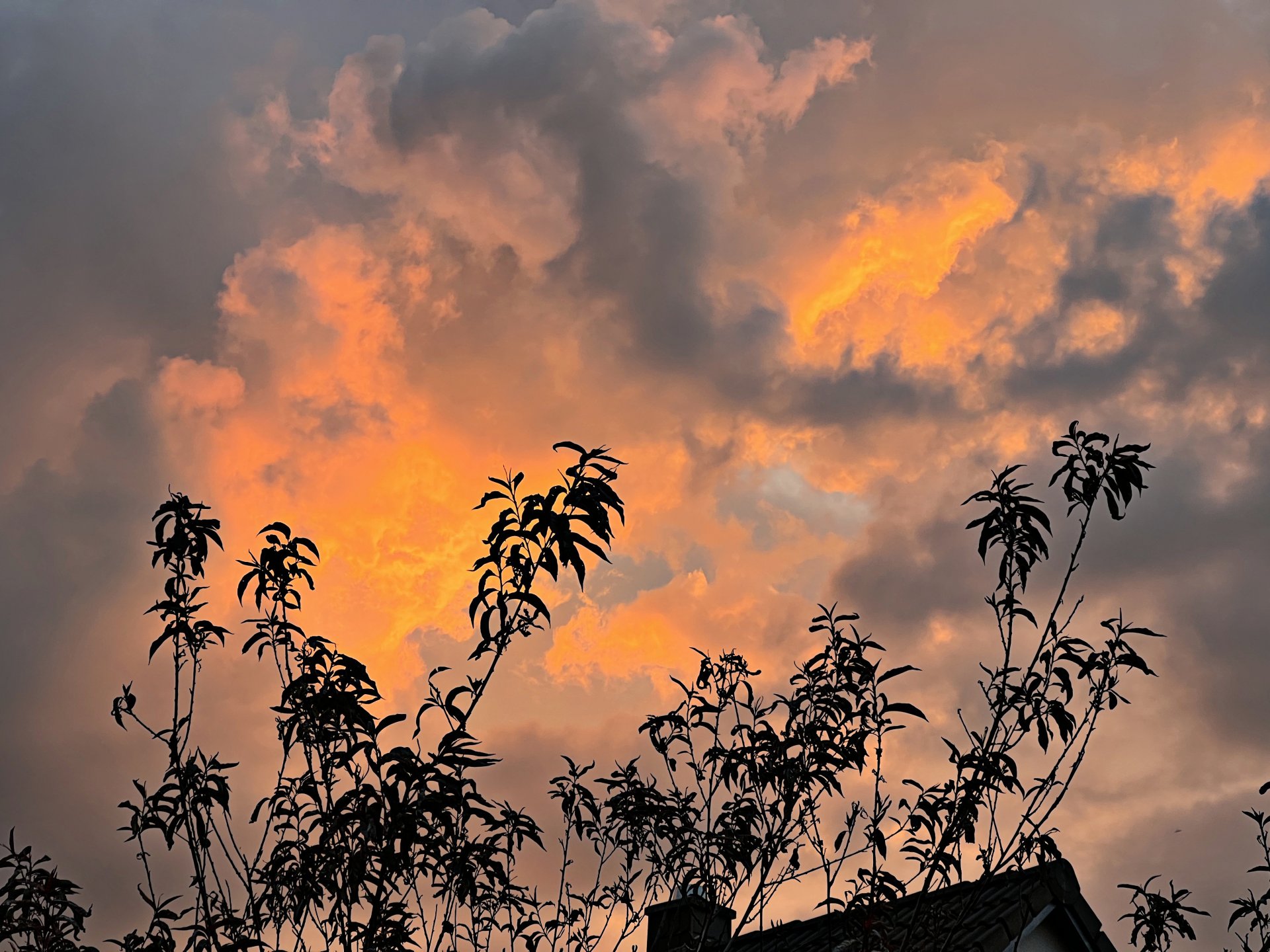 Abendhimmel.jpg