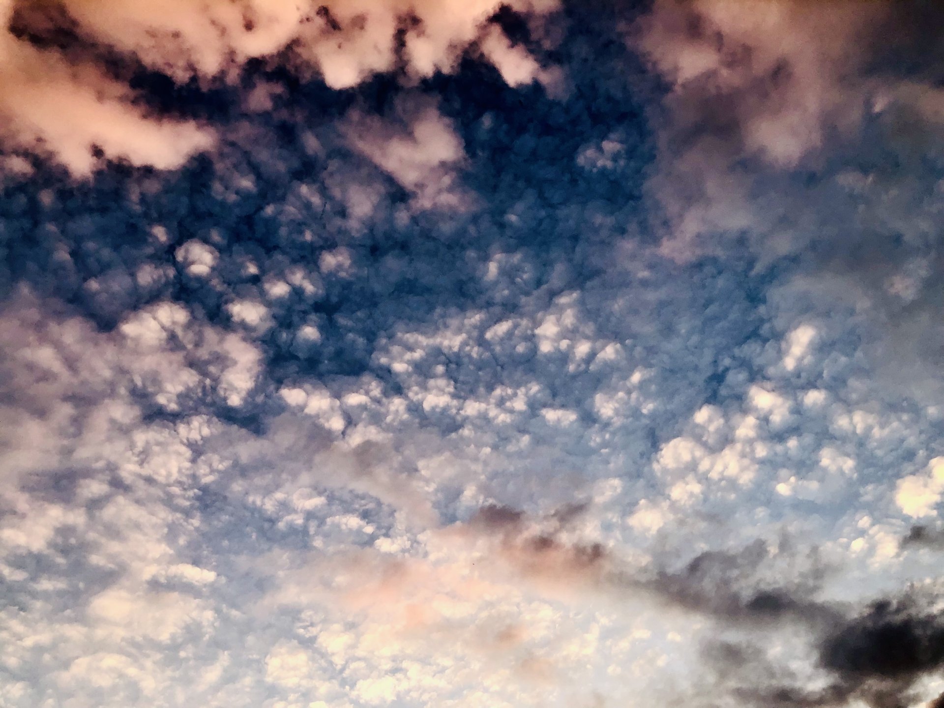 AD8E77E7-5765-43BB-A0FD-8E8CC520CBE6.jpeg