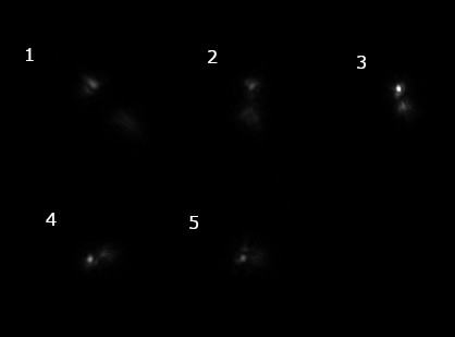 adc-stern-asi120mmts47.jpg