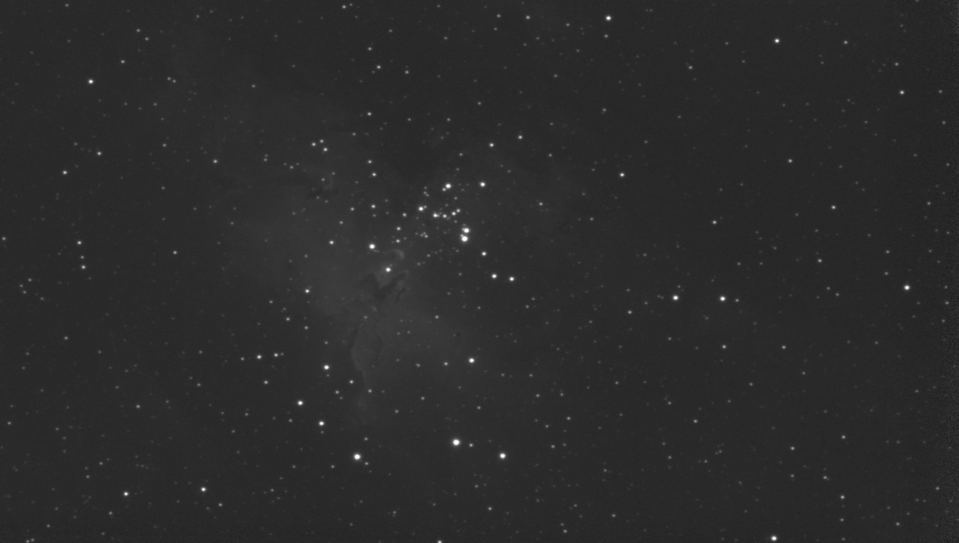 adler-zielbild-080624.jpg