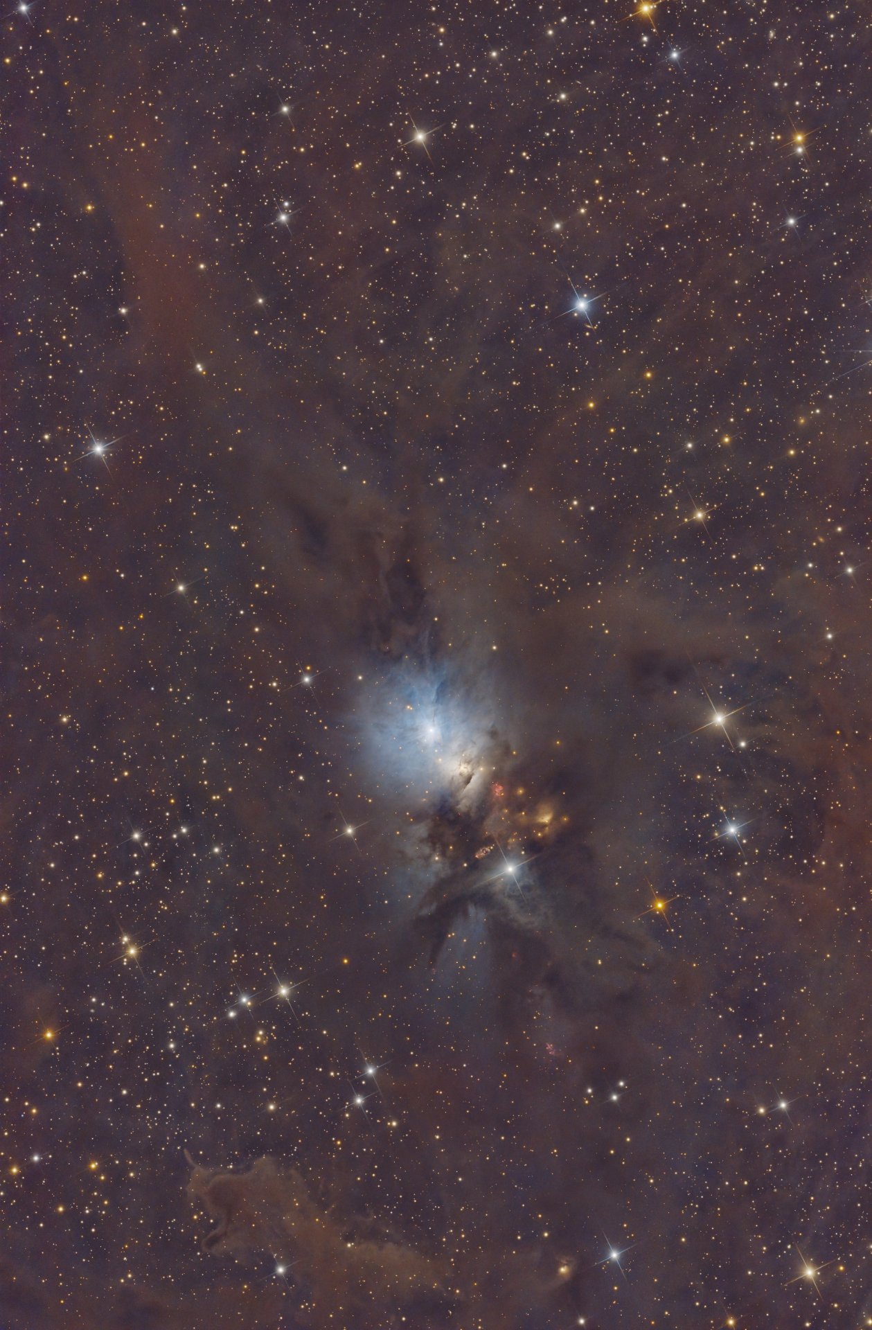 adm-2024-12.jpg