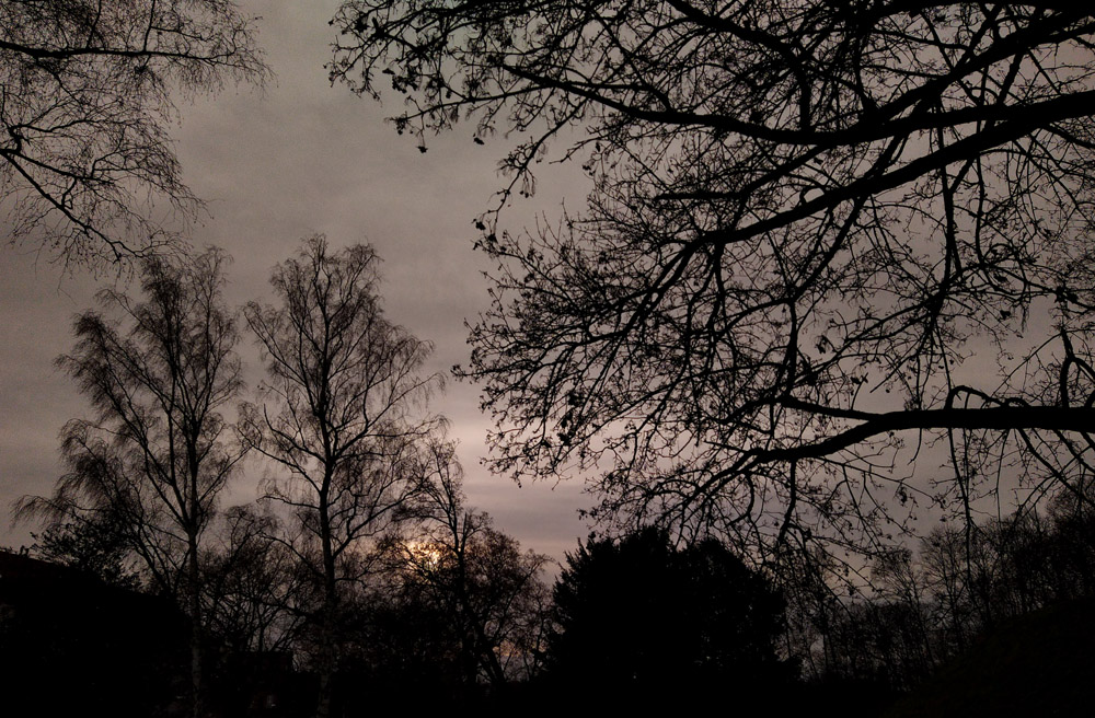 advent_231210_a.jpg