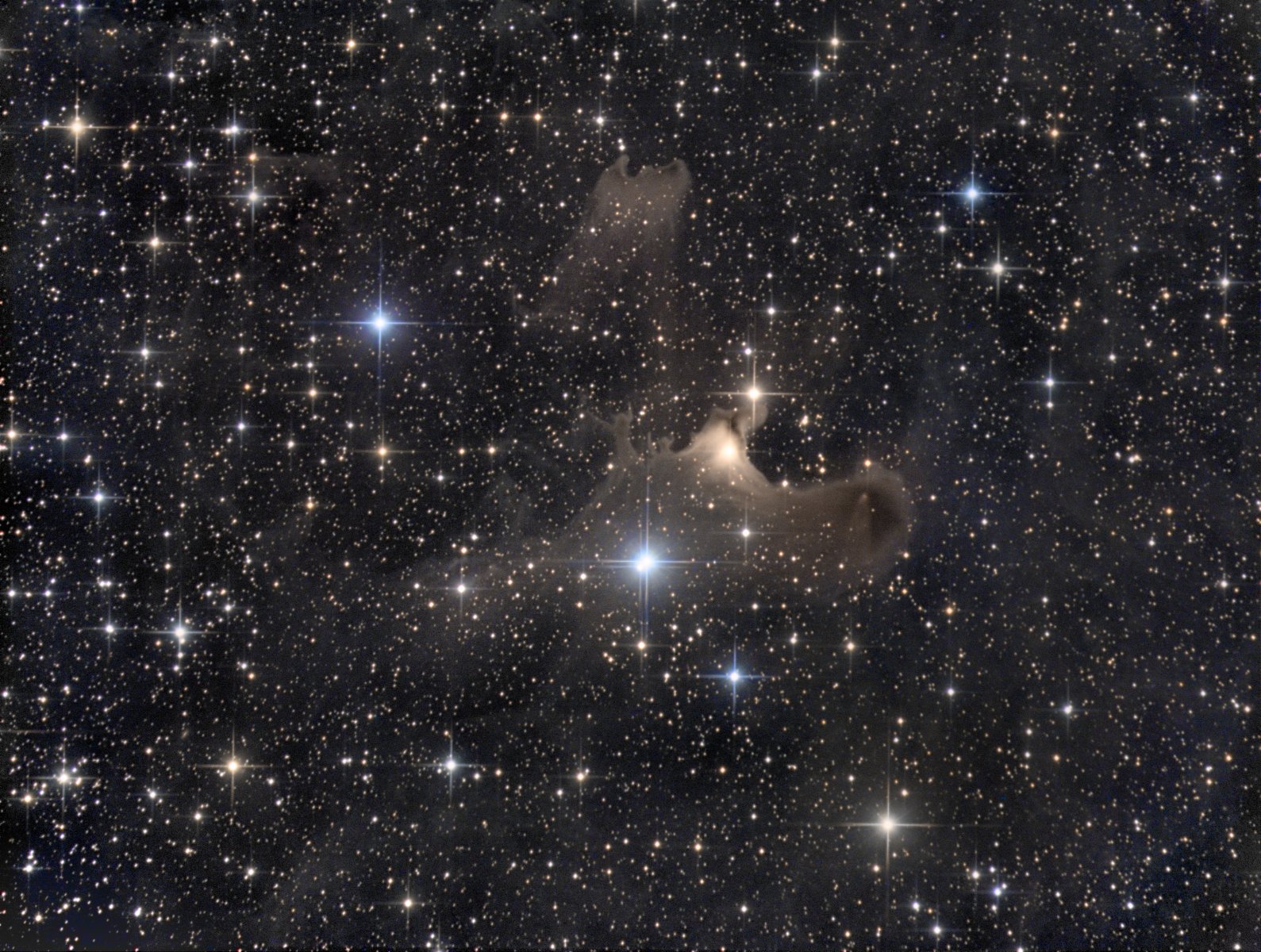adw-2019-44kw.jpg