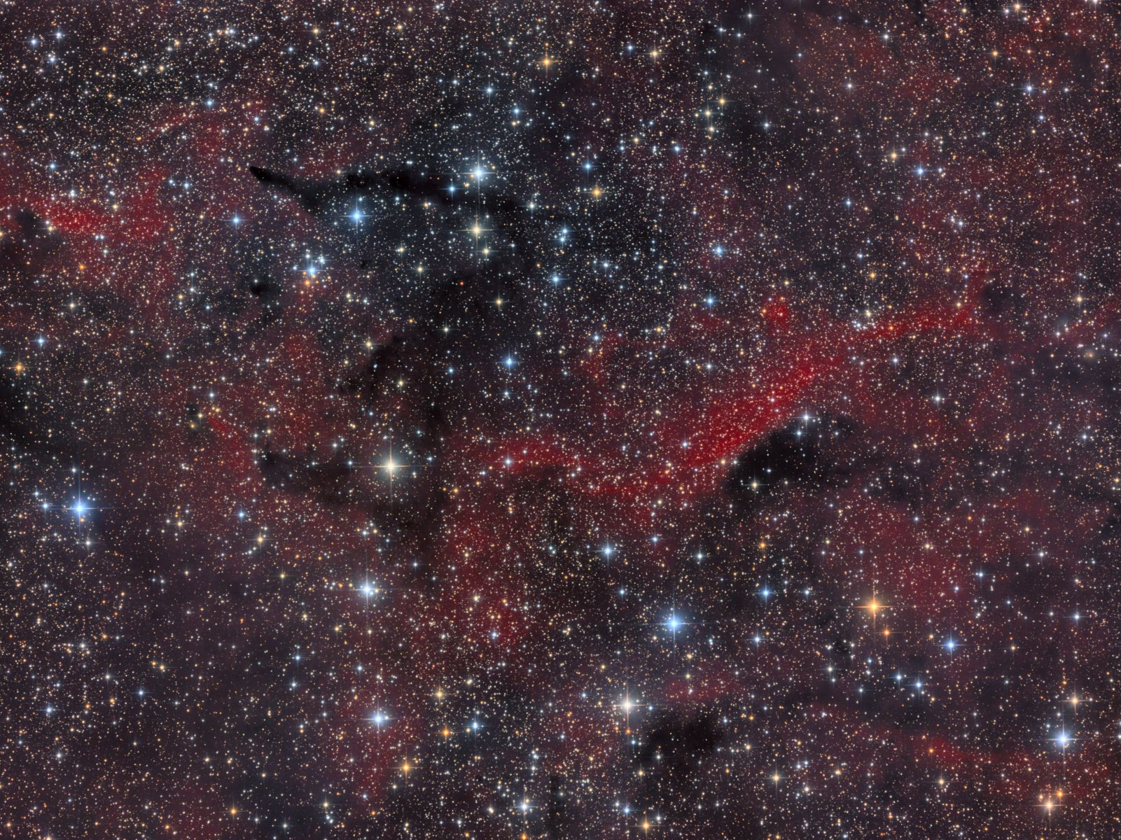 adw-2019-51kw.jpg