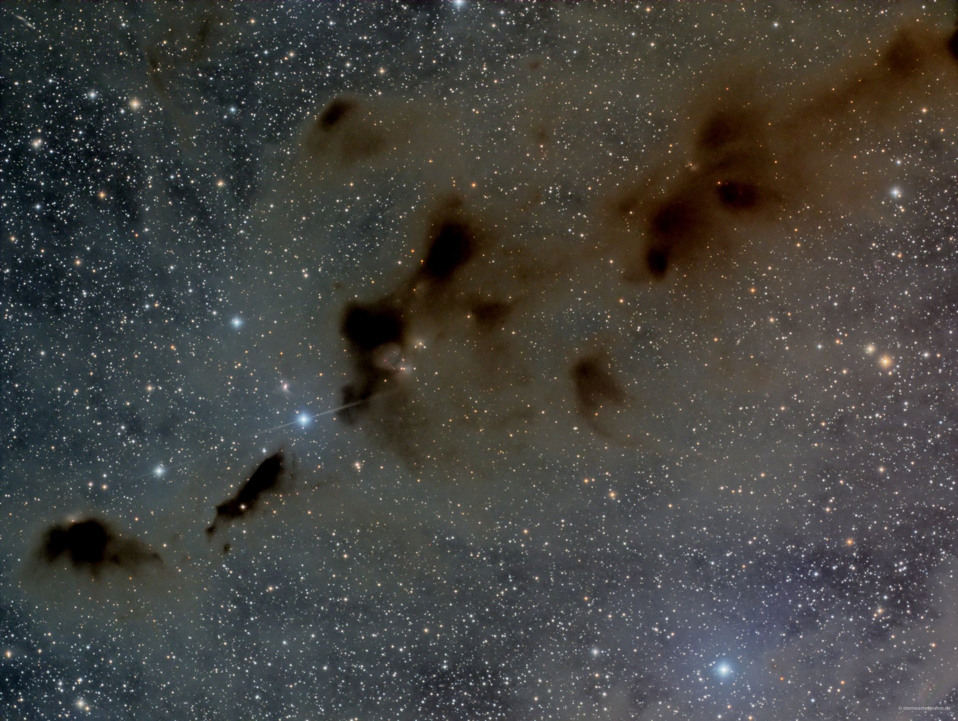 adw-2021-36.jpg