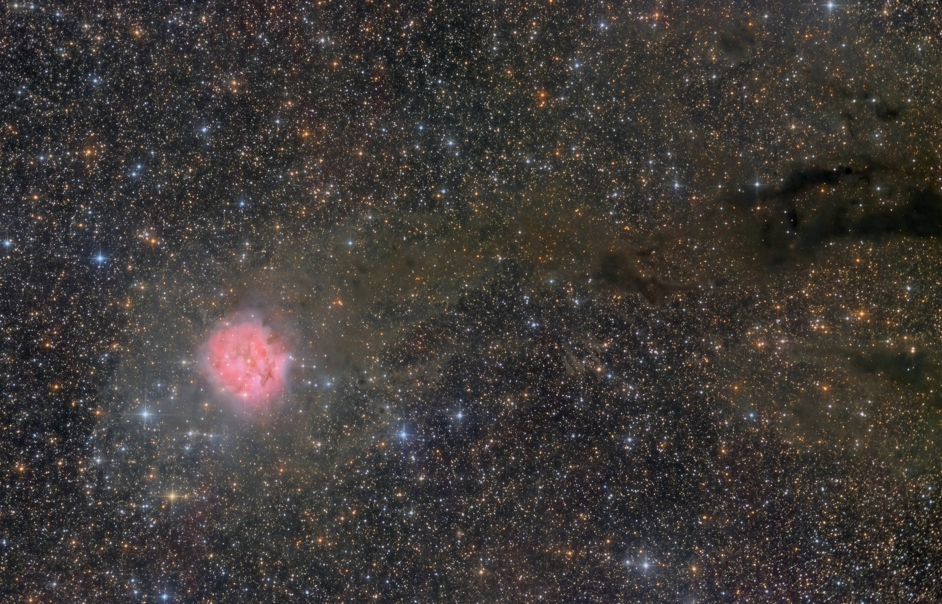 adw-2021-47.jpg