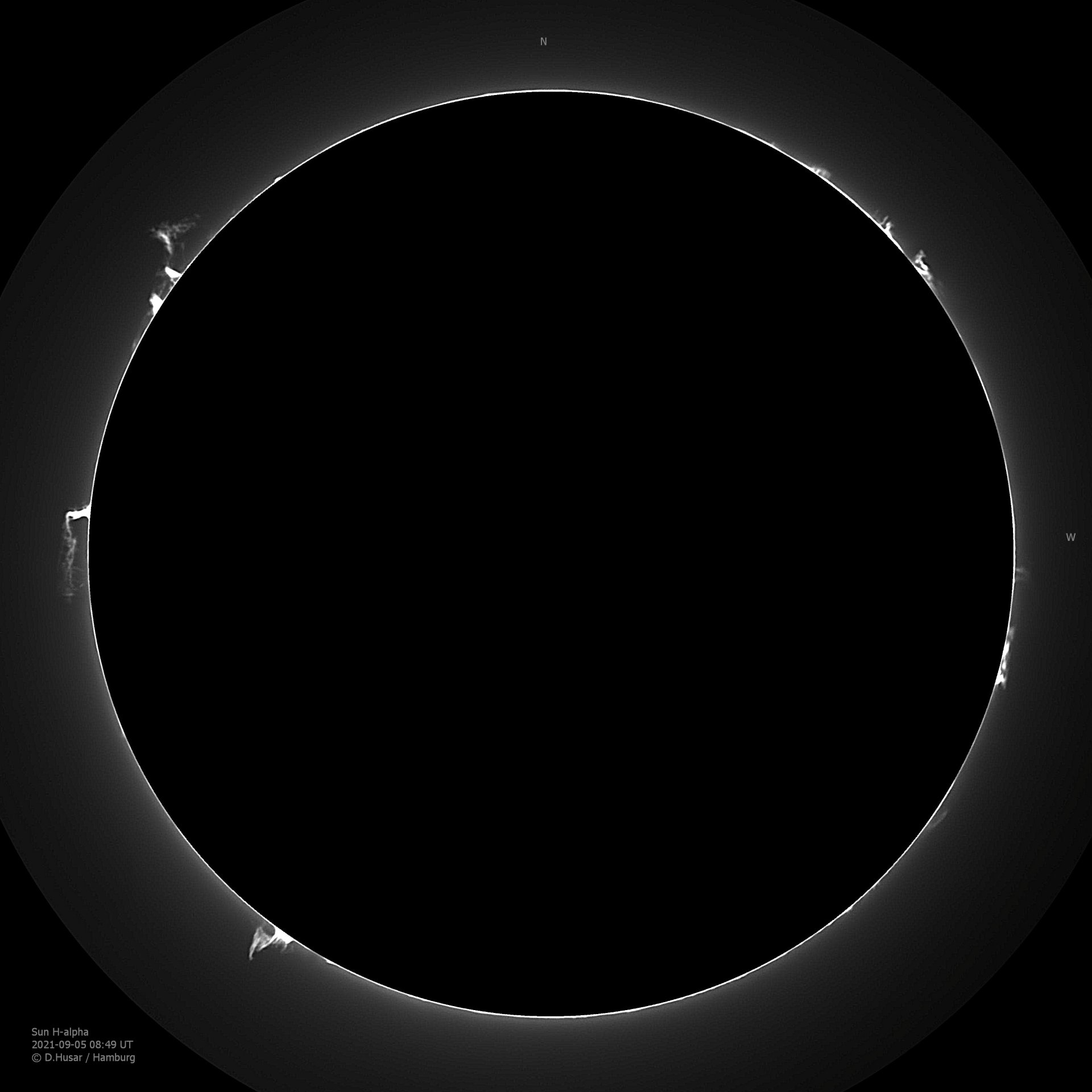 AI-mod-w&hist IJ-cut&gamma07 2000ex31000 08_49_35_pipp_SUN 2021-09-05 HA-Lu_lapl5_ap737_Drizzl...jpg