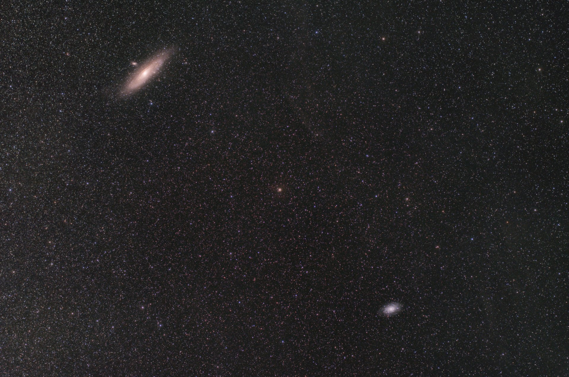 Andromeda-Widefield.jpg