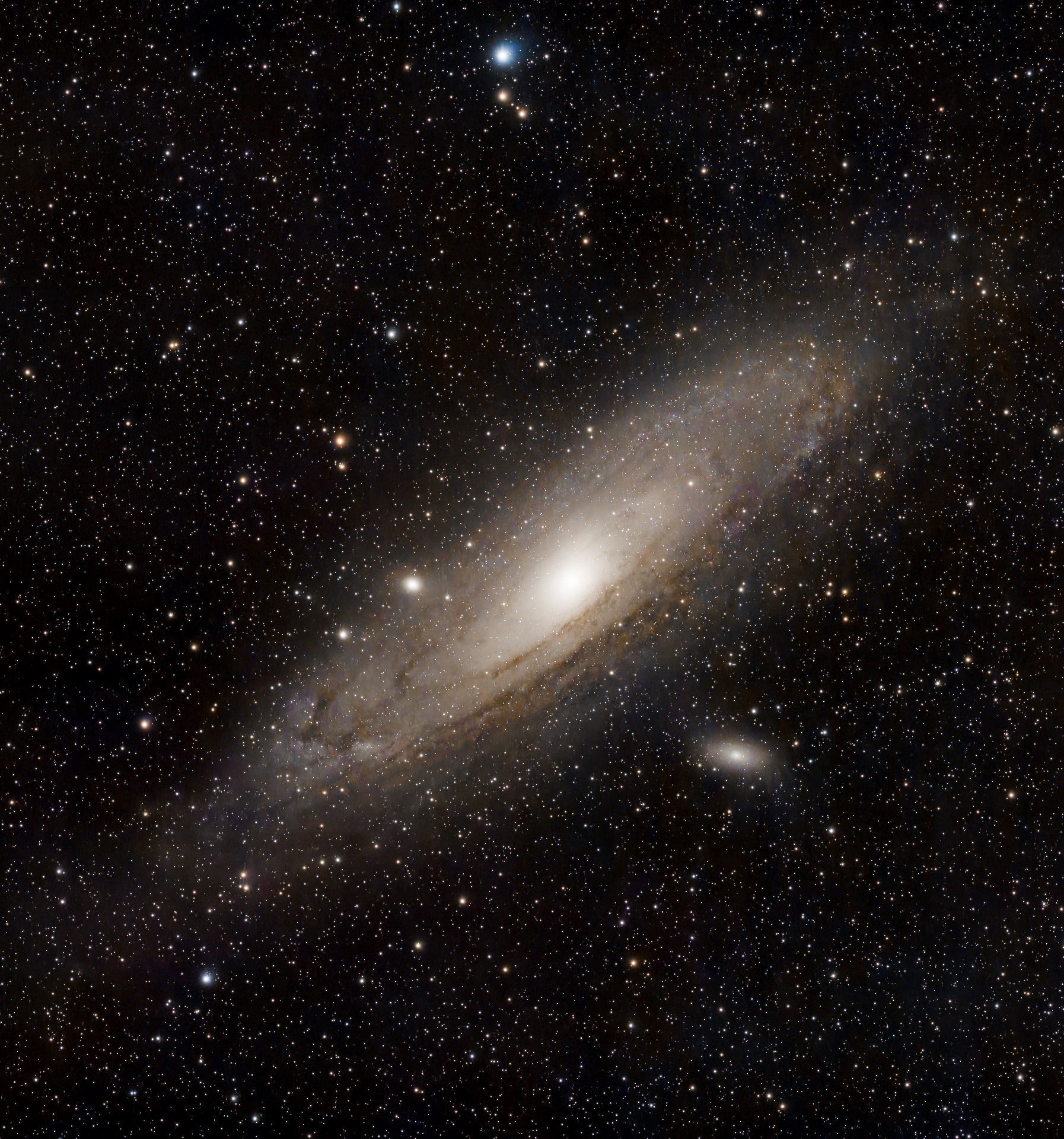 andromeda_neu-3.jpg