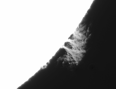 animated_w490_h376_roi.gif