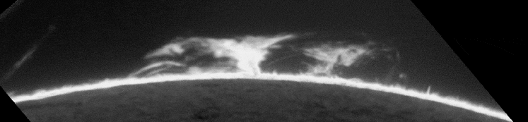 animated_w747h173c255.gif