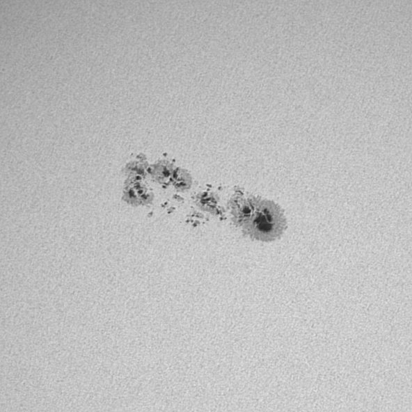 Sonne im Februar 2026 | Forum Astronomie.de