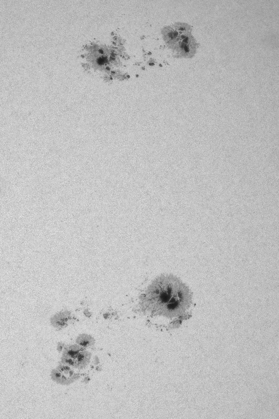 AR4478 und AR4479.jpg
