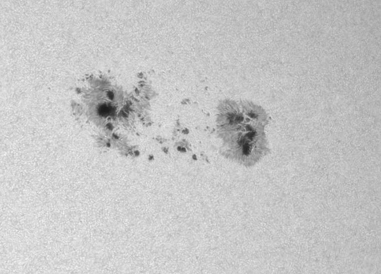 AR4479.jpg