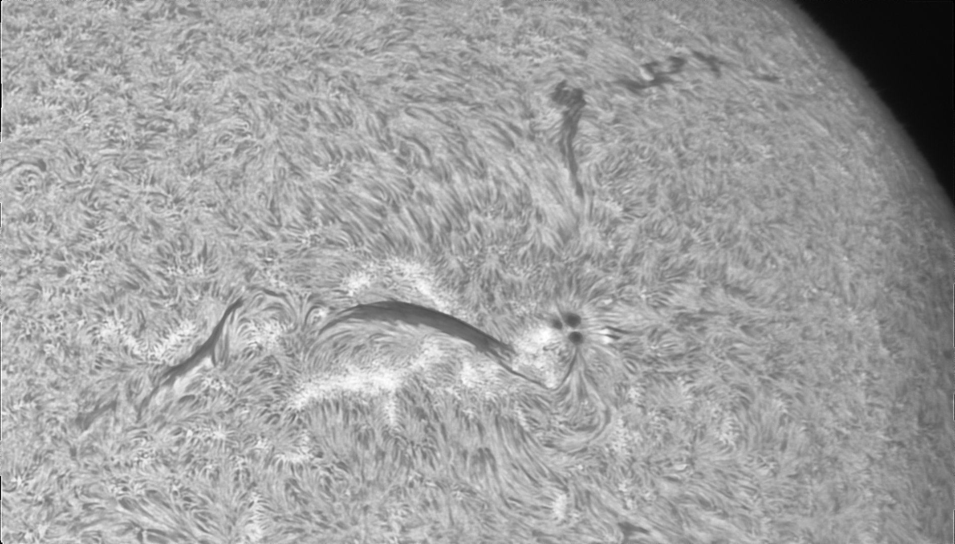 ar4492.jpg