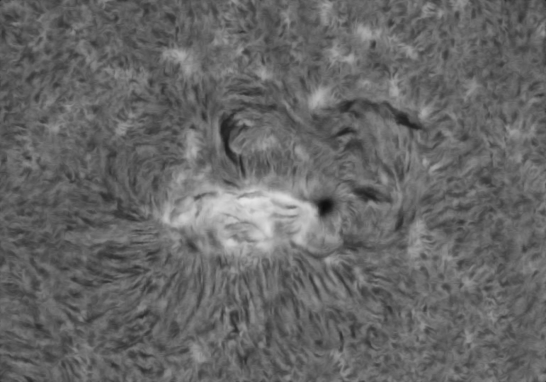 AR4493_bearbeitet.jpg