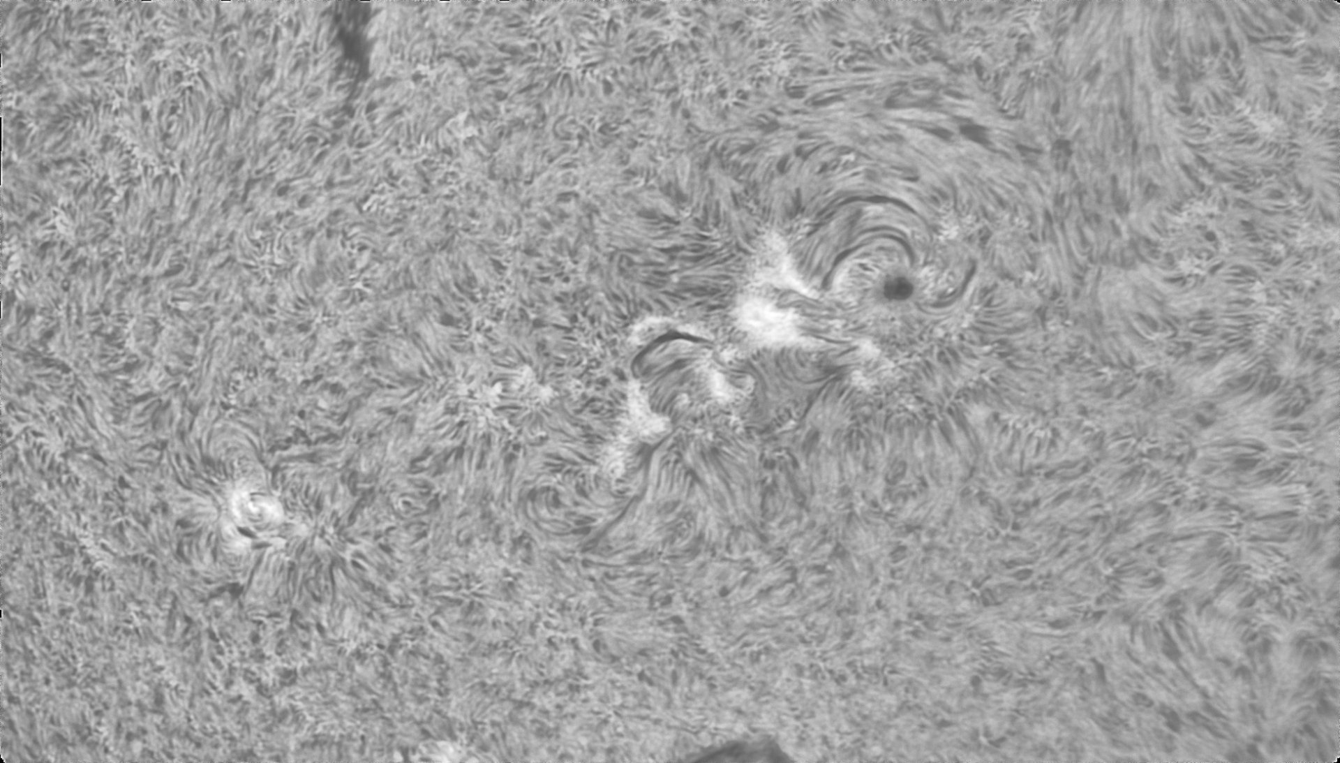 ar4499-4496.jpg