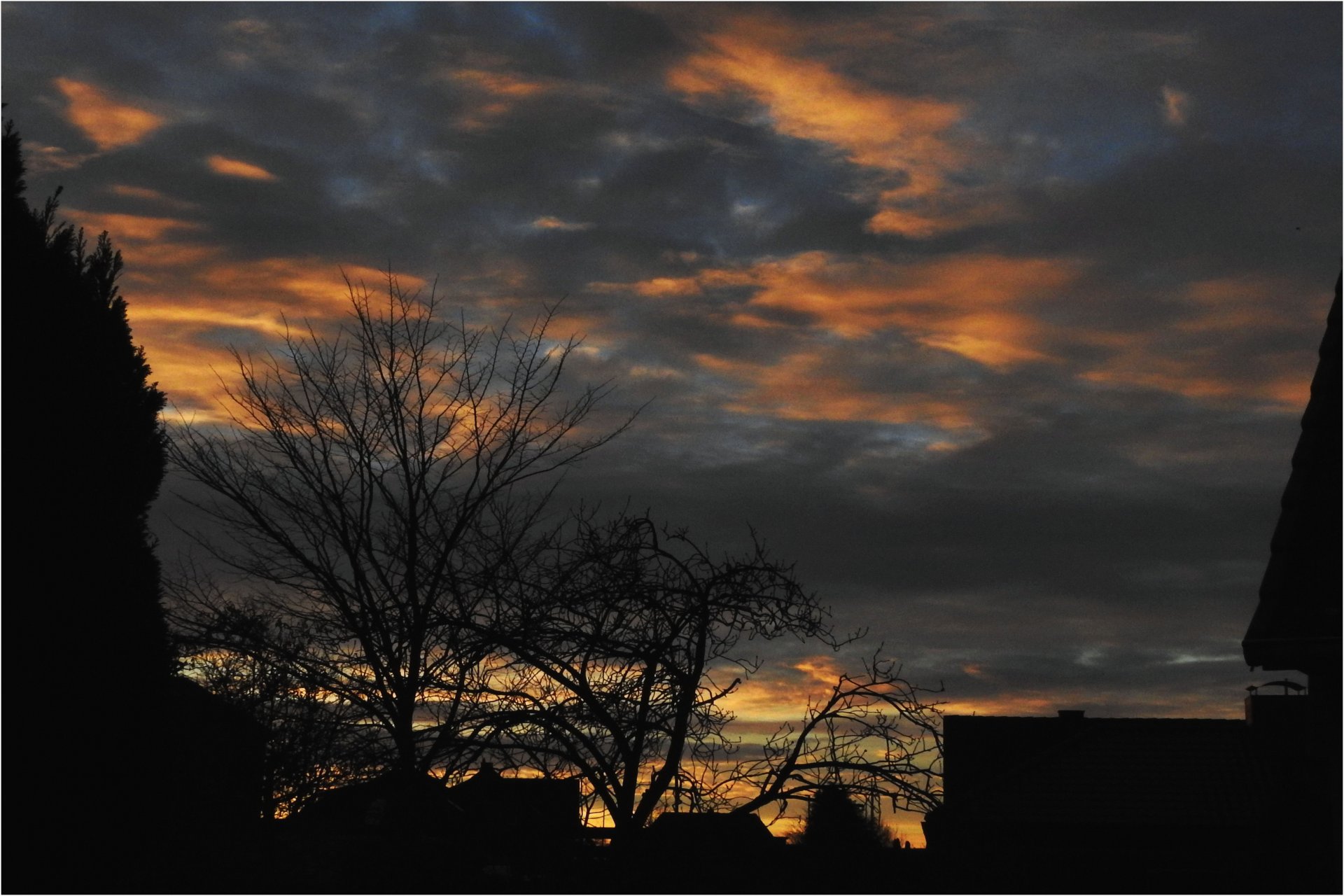 art painting by nature.jpg