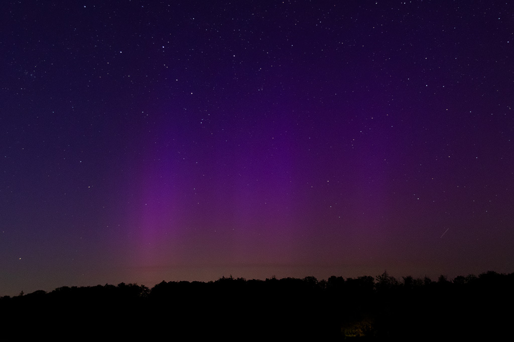 Aurora_später_crop_2-3_1024.jpg