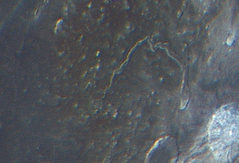 Ausschnitt_Mond.jpg