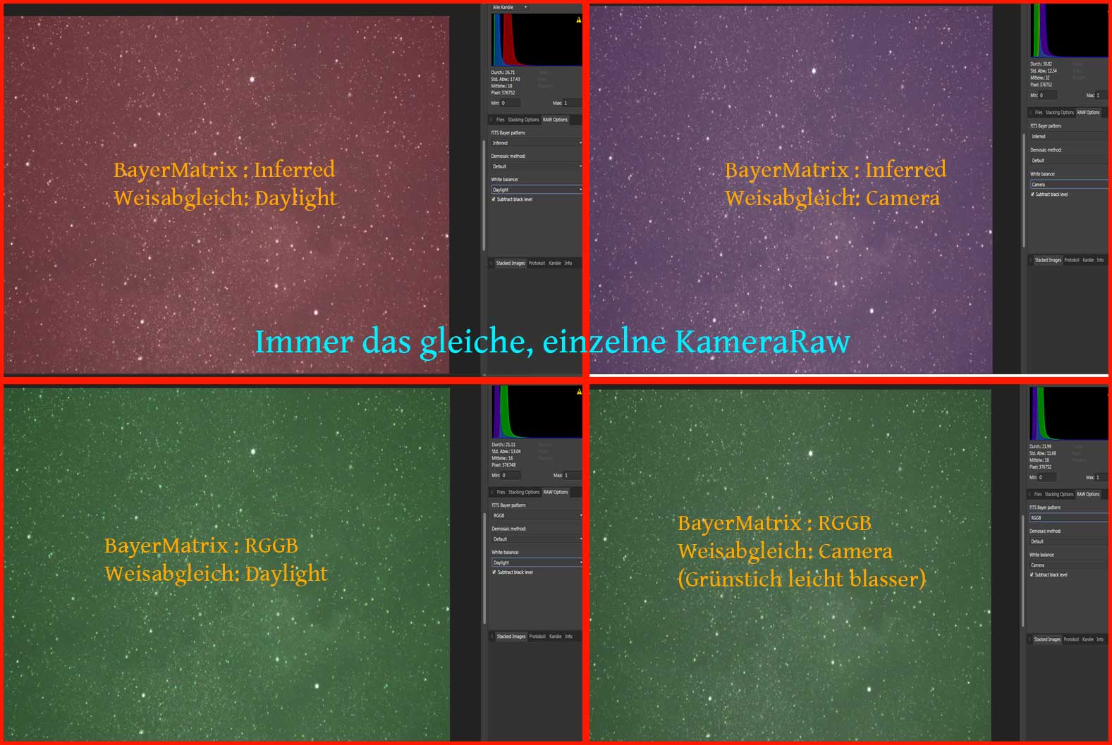 Bayer.jpg