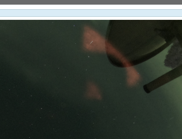 Bildschirmfoto 2024-03-01 um 19.54.54.png