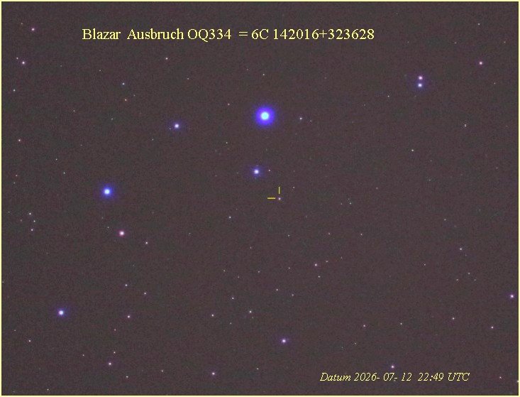 BLazar_6C-142230_323628-01web.jpg
