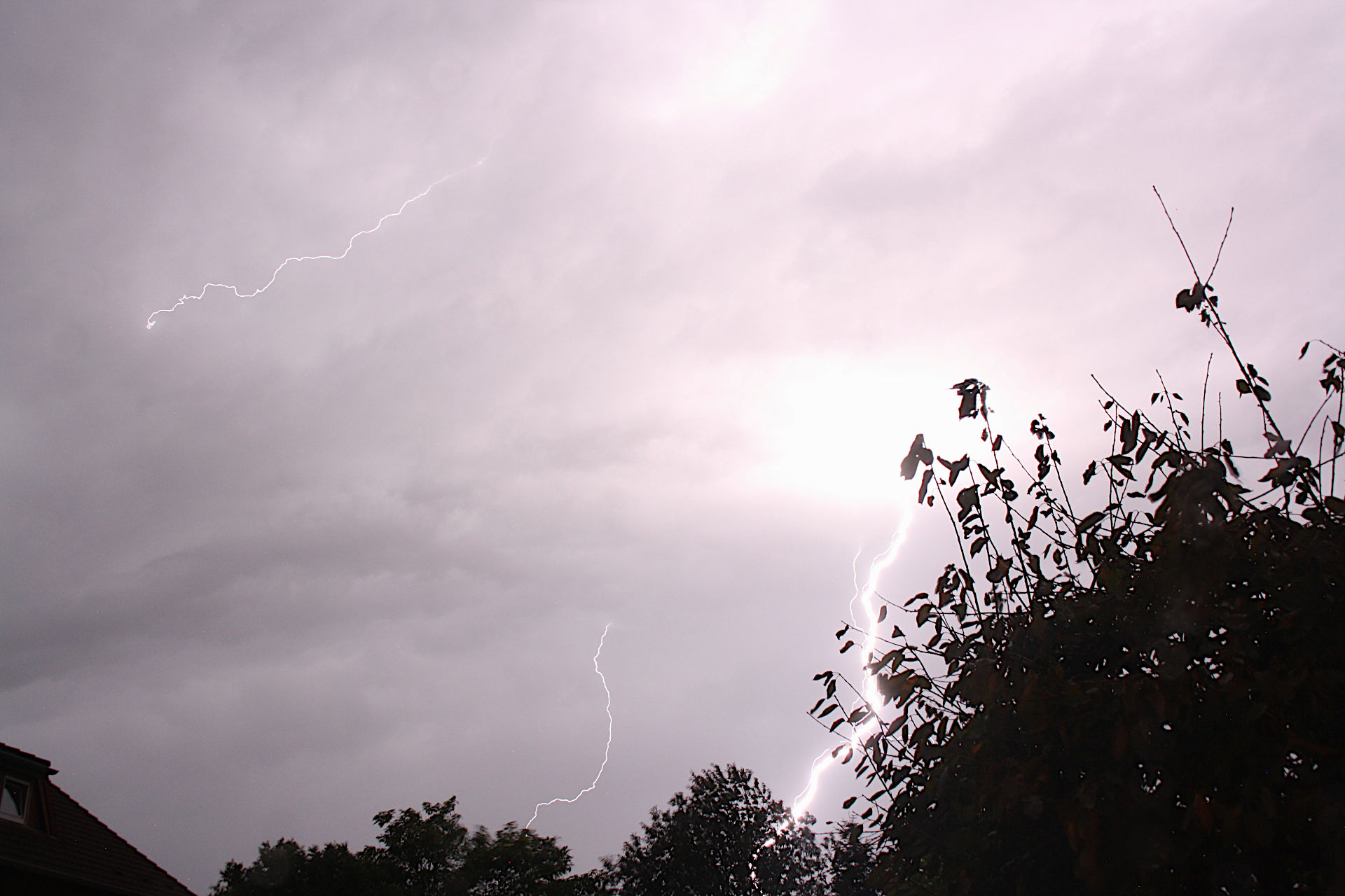 blitz-240824c.JPG