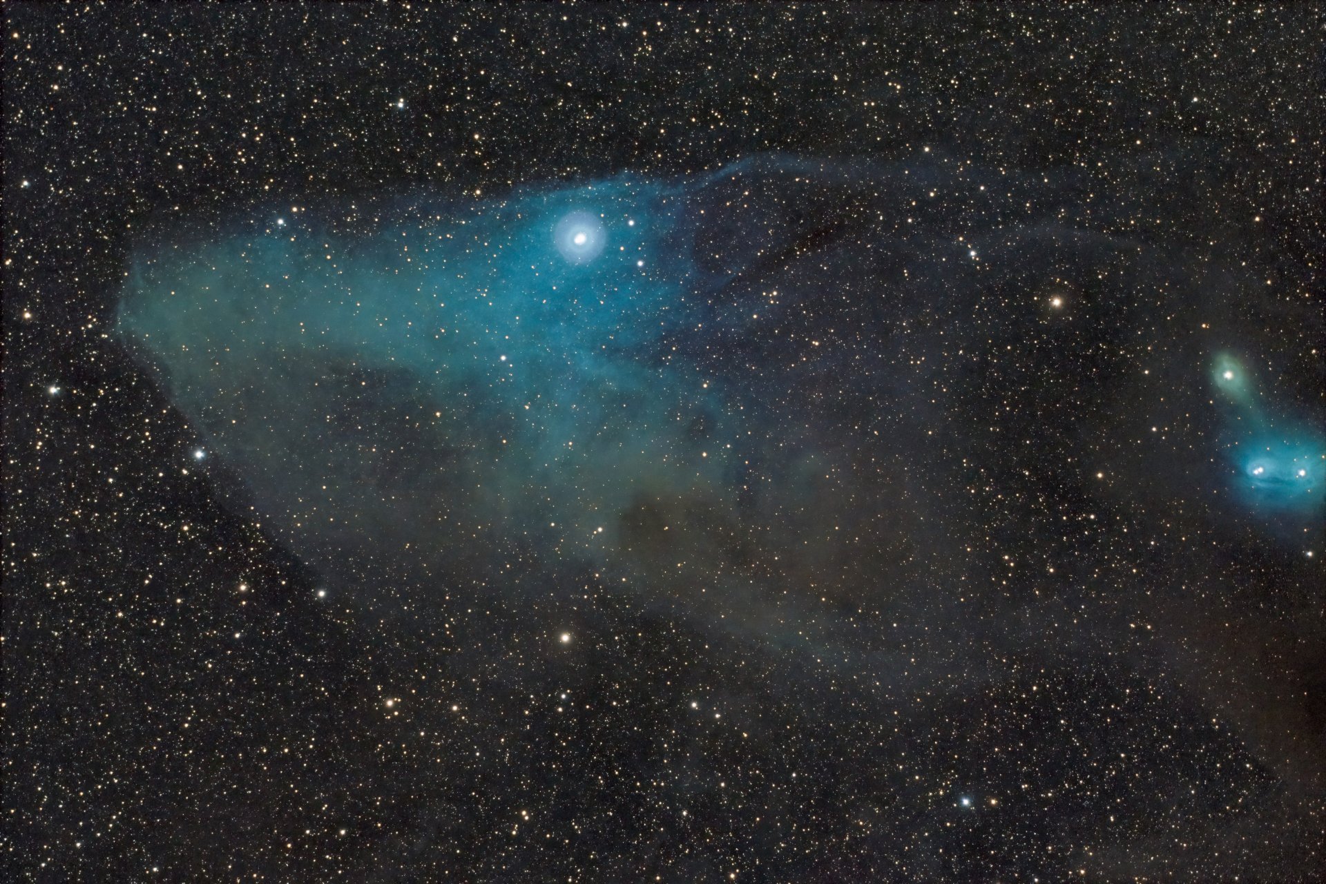 Blue_Horse.jpg