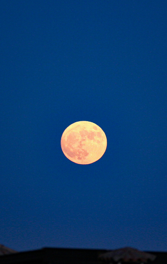 BlueMoon_30.08.2023.jpg