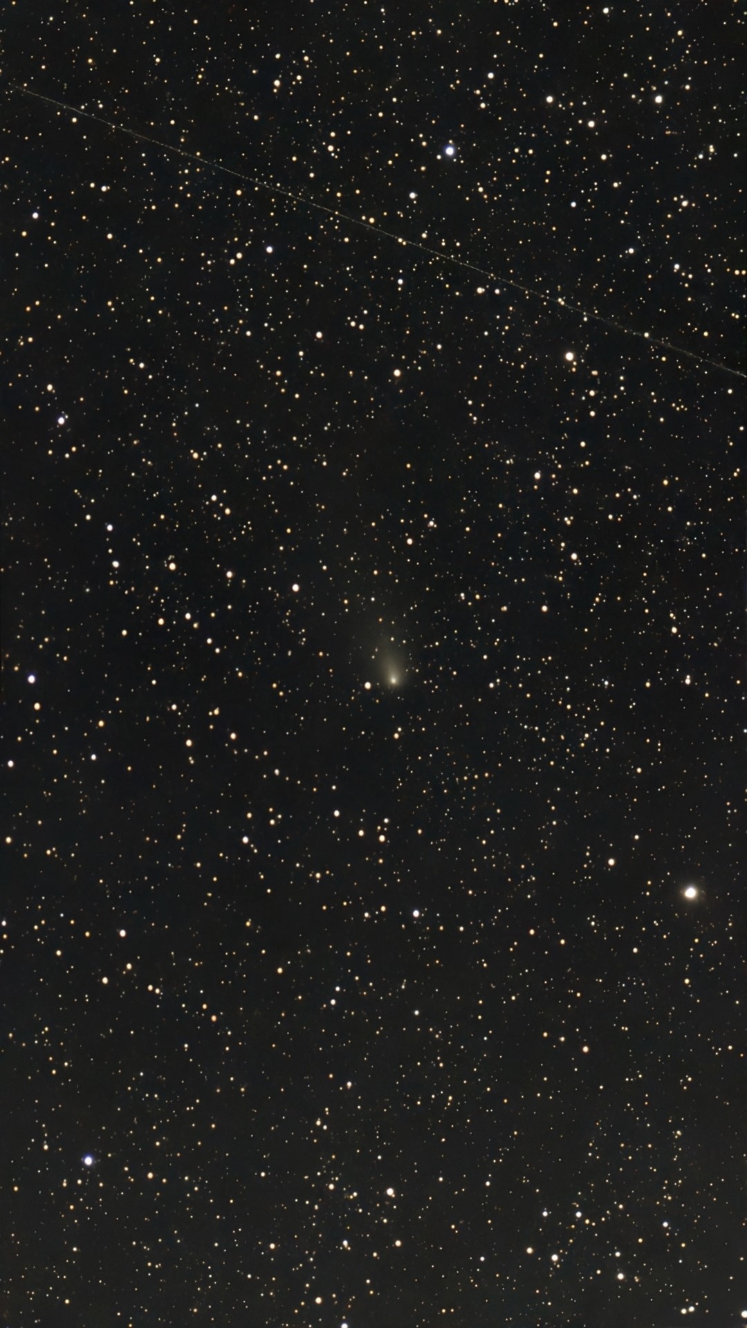 C 2023 A3(Tsuchinshan-ATLAS) 1735320520977-1.jpg