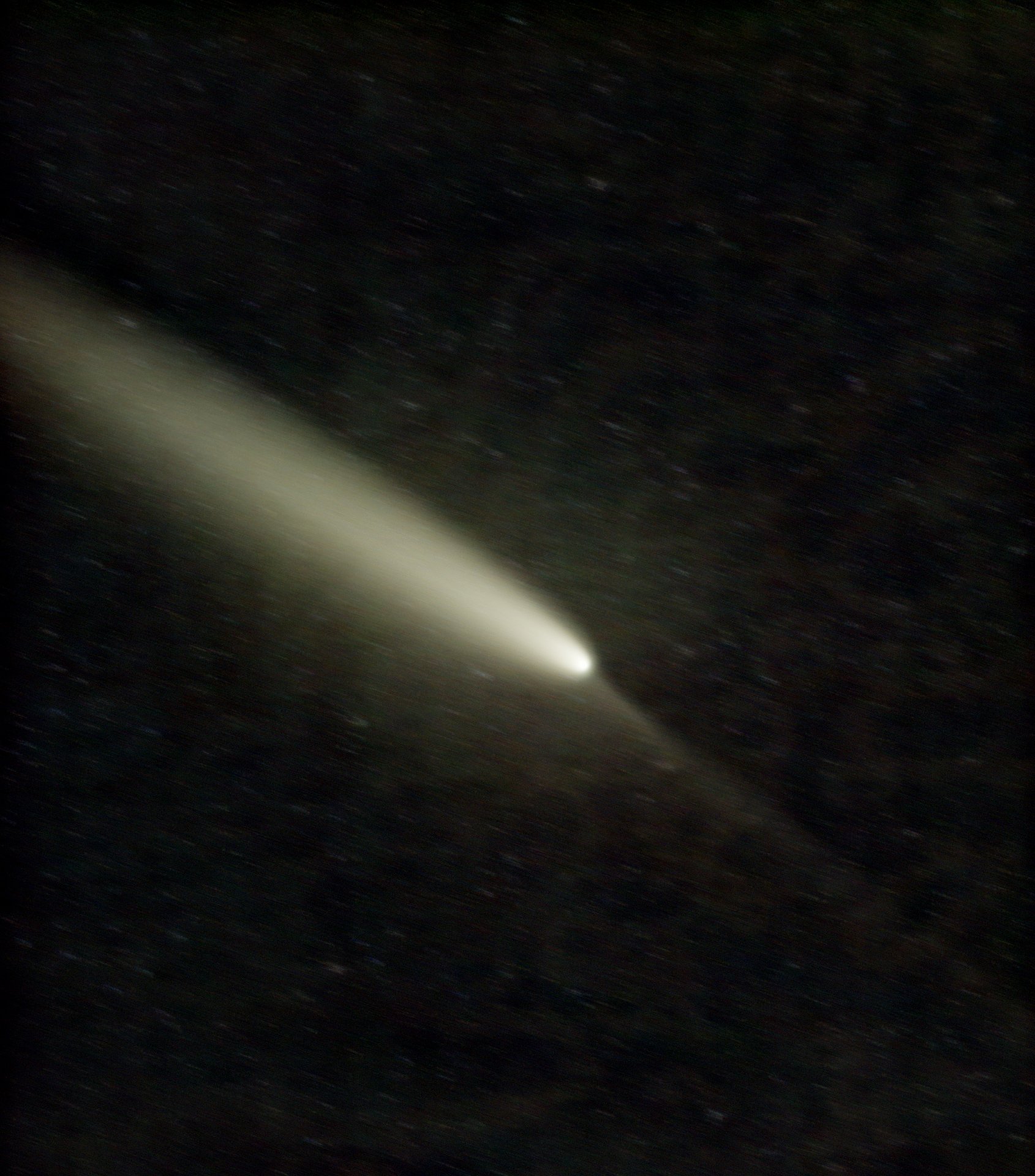 C-2023-A3_stacked_GraXpert_histo.jpg
