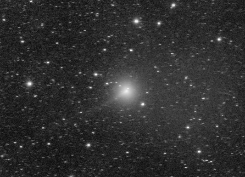 C2019Y4_10x3min.jpg