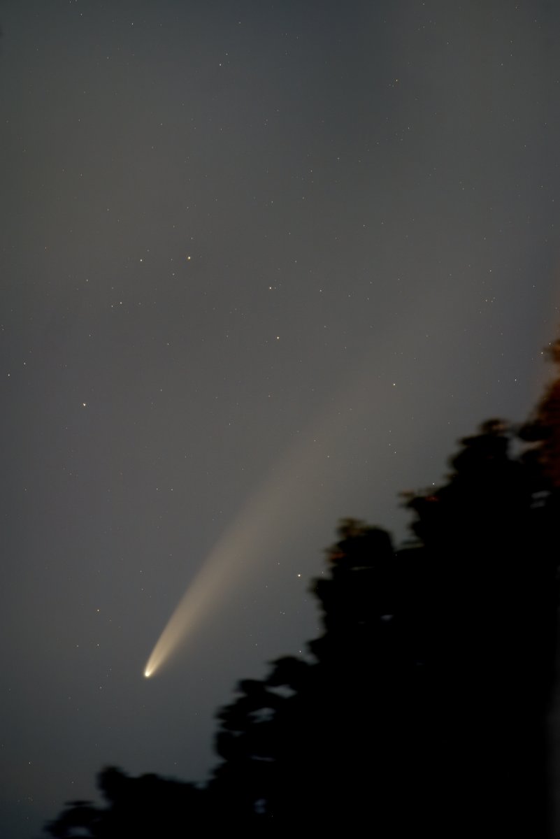 C2020F3_NEOWISE_5431_Tamrongut.jpg