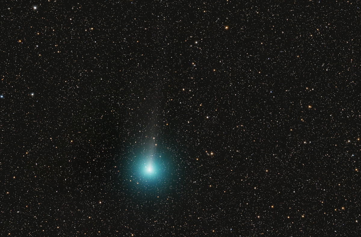 C2025 R2 Swan.jpg