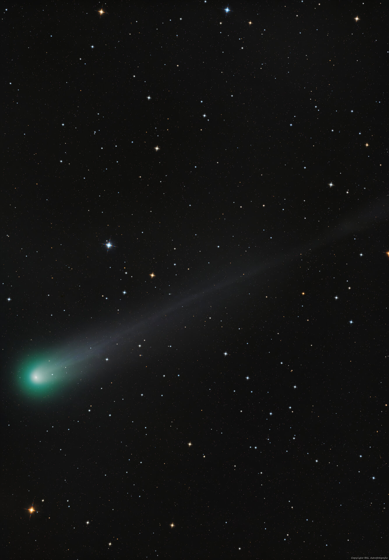 C2025A6_Lemmon_1000mm_Compress.jpg