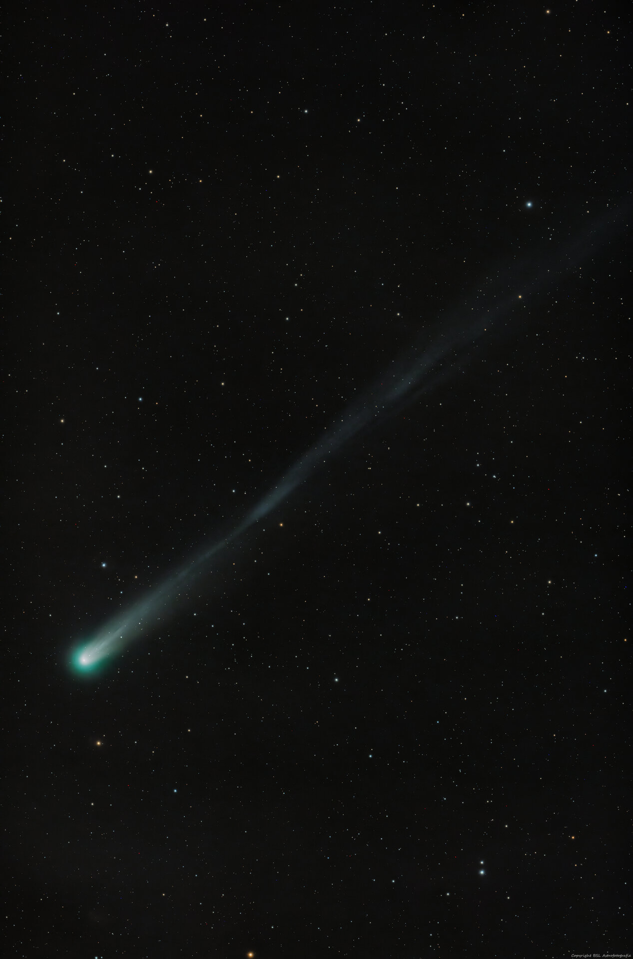 C2025A6_Lemmon_400mm_Compress_2.jpg