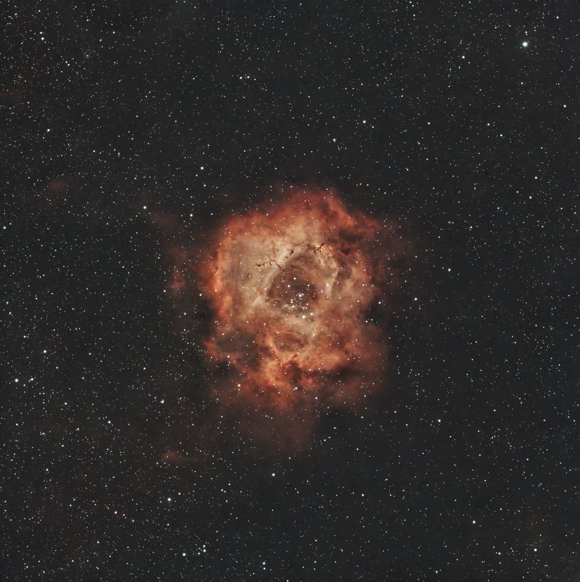 C49_L-eNhance_PI.jpg