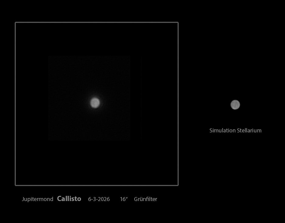callisto Kopie.jpg